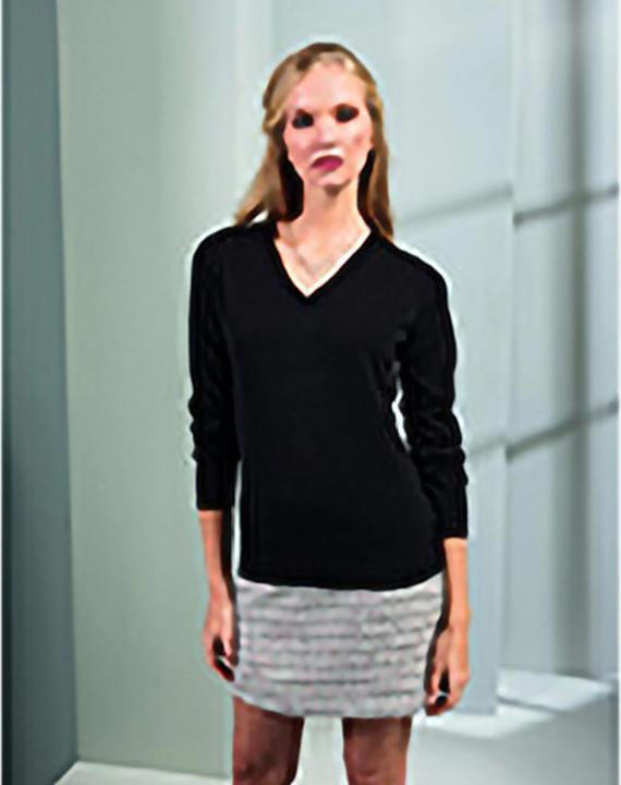Actual product image Premier Knit Sweater With V Neck (50 D)