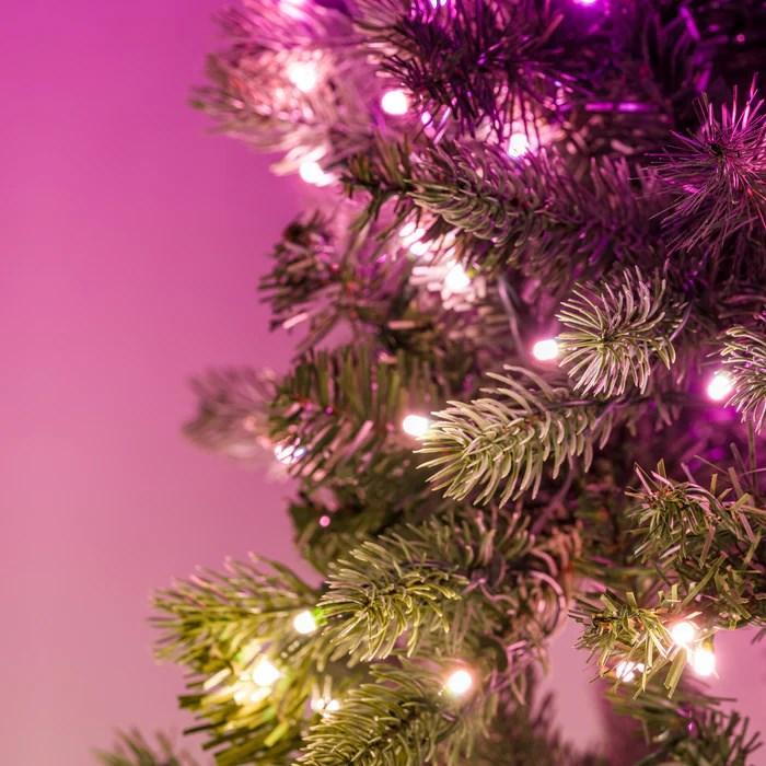 Produktbild Twinkly Wstępnie oświetlony wieniec – 50 RGB LED Regal 24 zielony przewód typ wtyczki C (0.13 m)