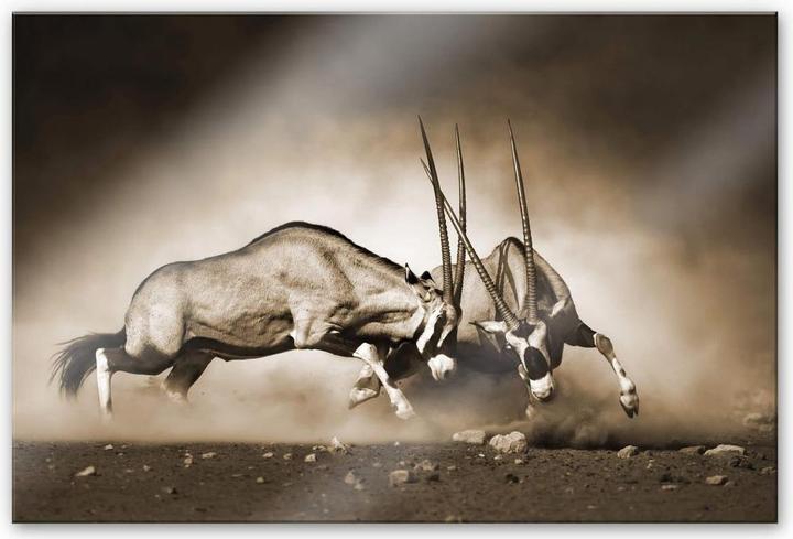 Actual product image Trenddeko The Duel (120 x 75 cm)