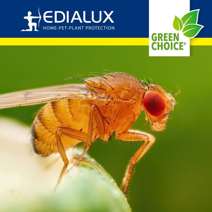 Image du produit Edialux Green Choice - Piège à mouches des fruits, 2 x 15ml