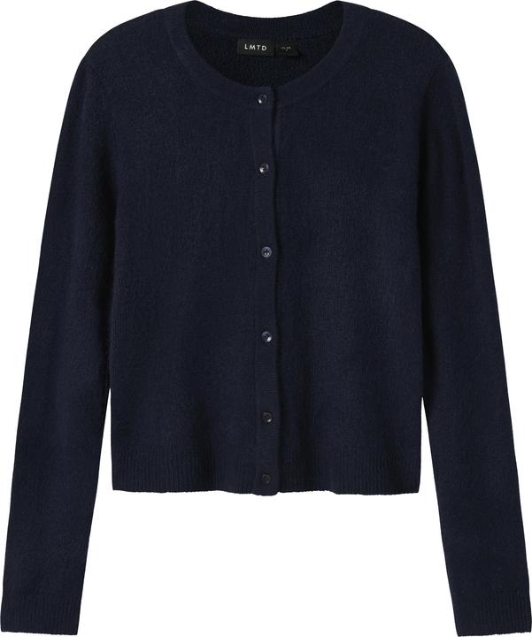 Navy Blazer