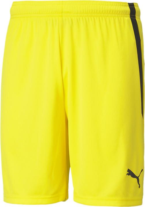 Actual product image Puma teamLIGA Shorts-704924 (XL)