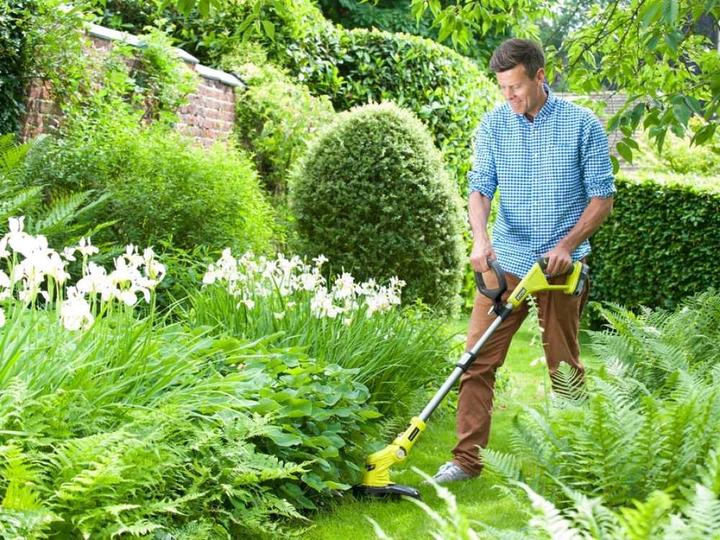 Image du produit Ryobi RLT183225F (Fils coupe-herbe)