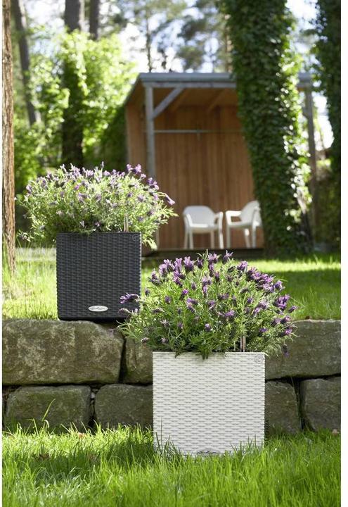 Produktbild Lechuza Cube Cottage 30 (29 cm)