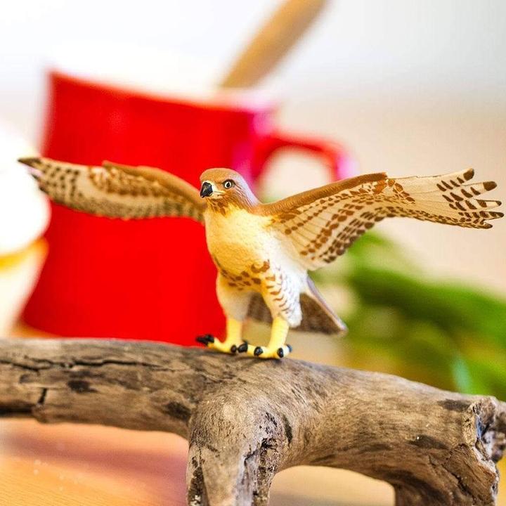 Produktbild Safari Rotschwanz-Bussard