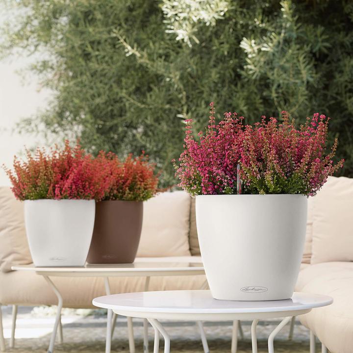Produktbild Lechuza Classico 18 (19 cm)