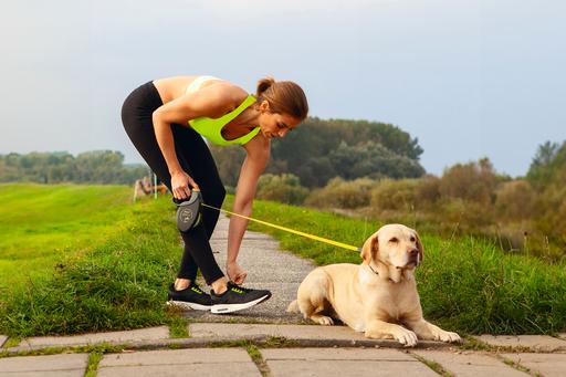Immagine prodotto Flexi Gigante (L, Cane, Passeggiare, Generale)
