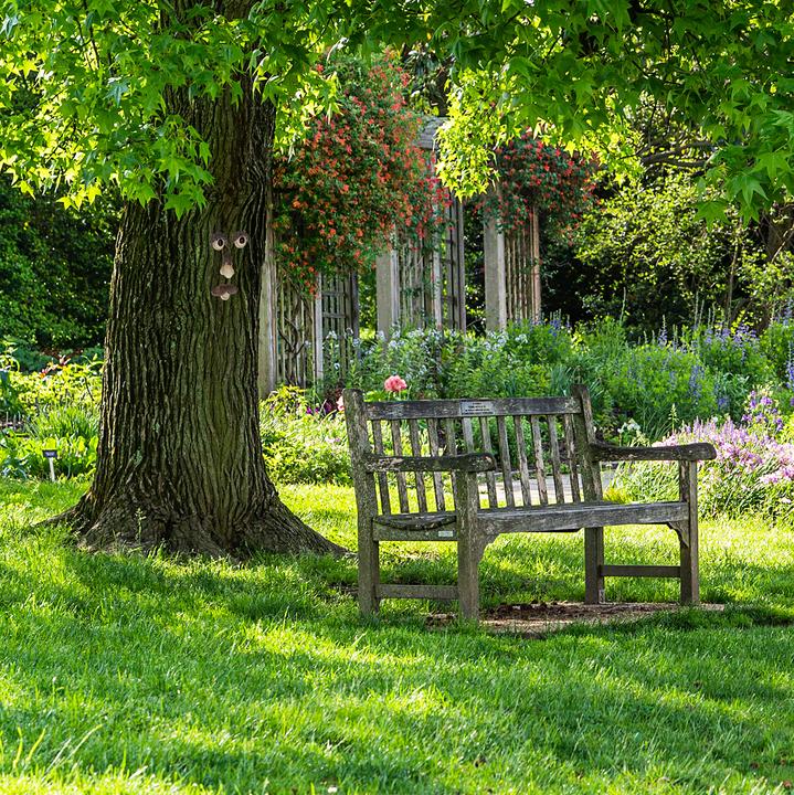 Actual product image Relaxdays Tree face