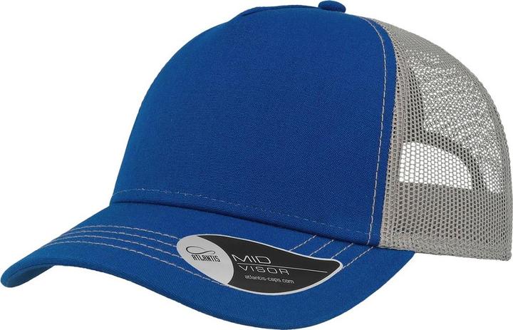 Bleu roi, Gris