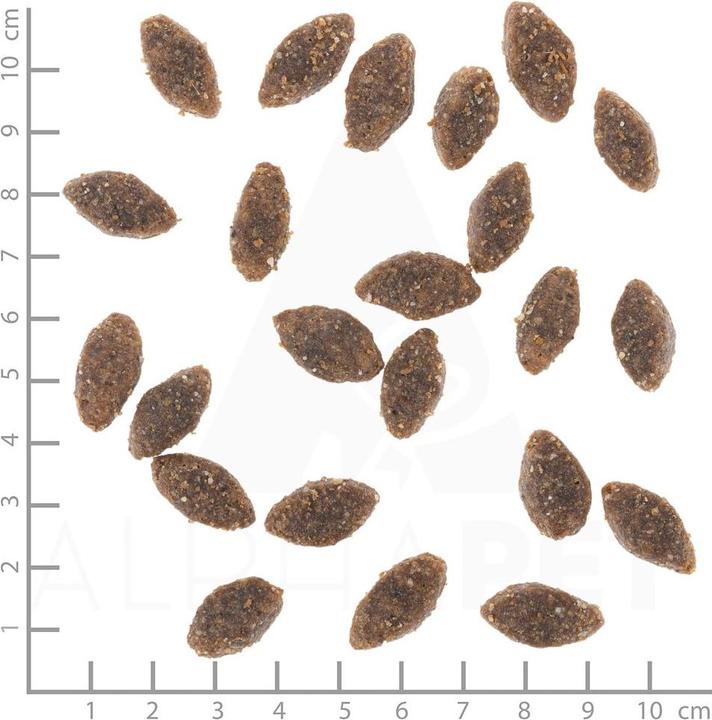 Actual product image Wolfsblut Dry food for dogs Alaska Salmon Salmon & Potato (Adult, 1 pcs., 2000 g)