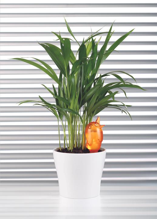 Image du produit Scheurich Bördy M (Cône d'argile)