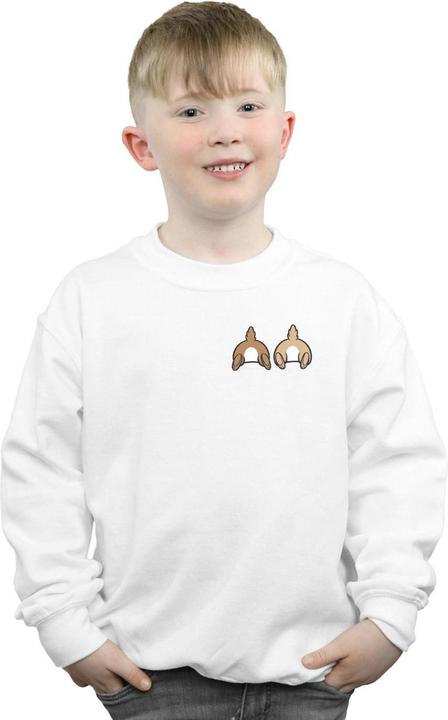 Actual product image Disney Boys Chip N Dale Backside Breast Print Sweatshirt (152, 158)