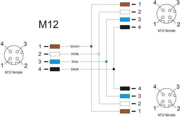 Produktbild Delock M12 T-Splitter A-kodiert 4 Pin Buchse zu 2 x Buchse Parallelschaltung