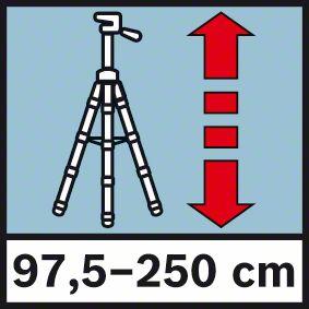 Actual product image Bosch Professional Bt 250