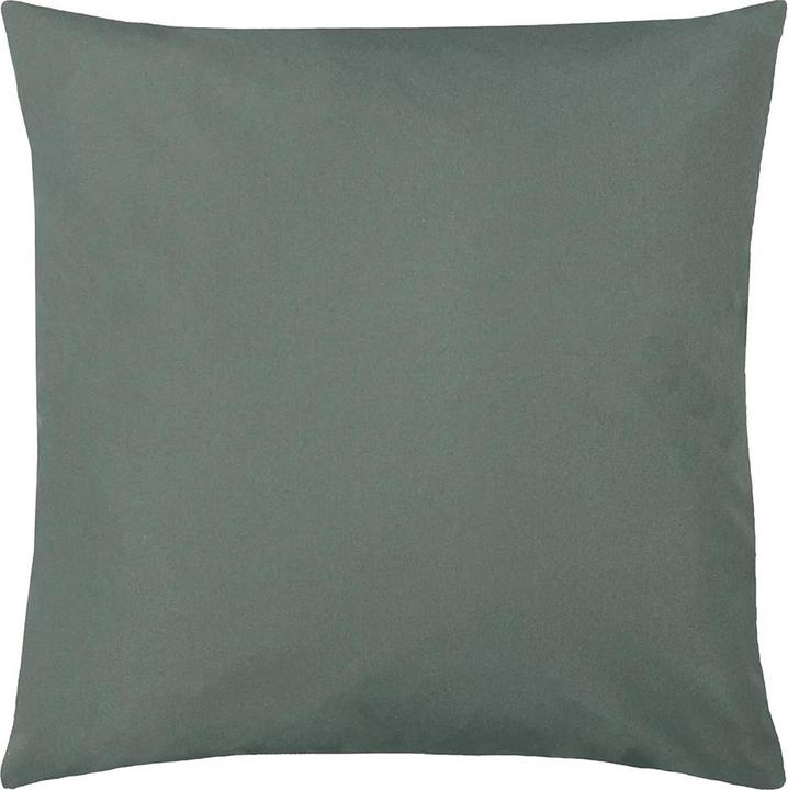 Gris