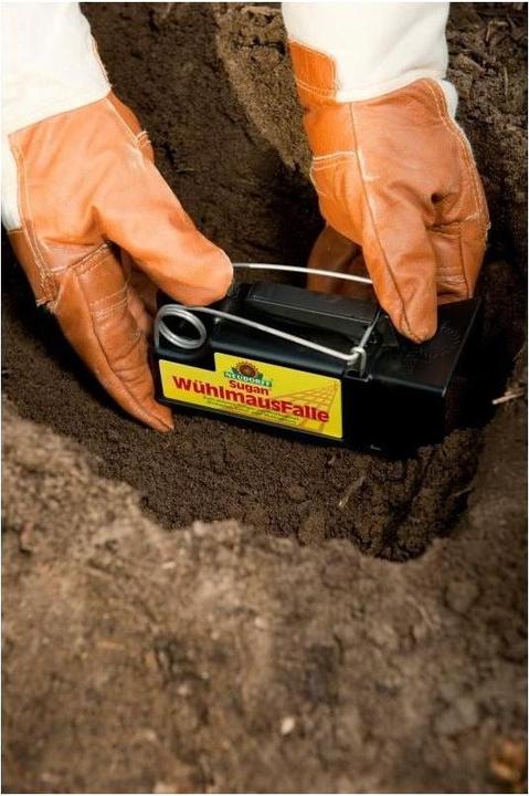 Produktbild Neudorff Wühlmausfänger