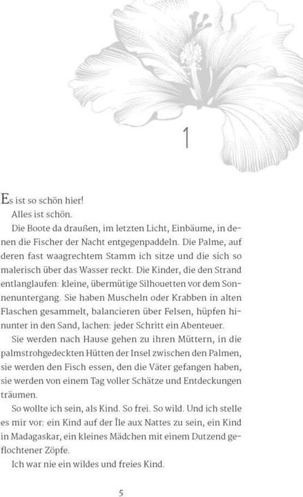 Produktbild Weil wir träumten (Deutsch, Antonia Michaelis, Ria Raven, 2022)