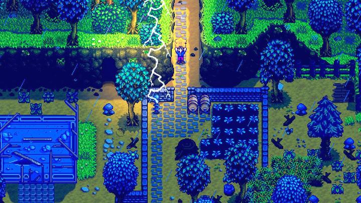 Actual product image Fangamer Stardew Valley (Switch, DE)
