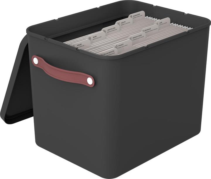 Immagine prodotto Rotho Archivio box my Paper (A4)