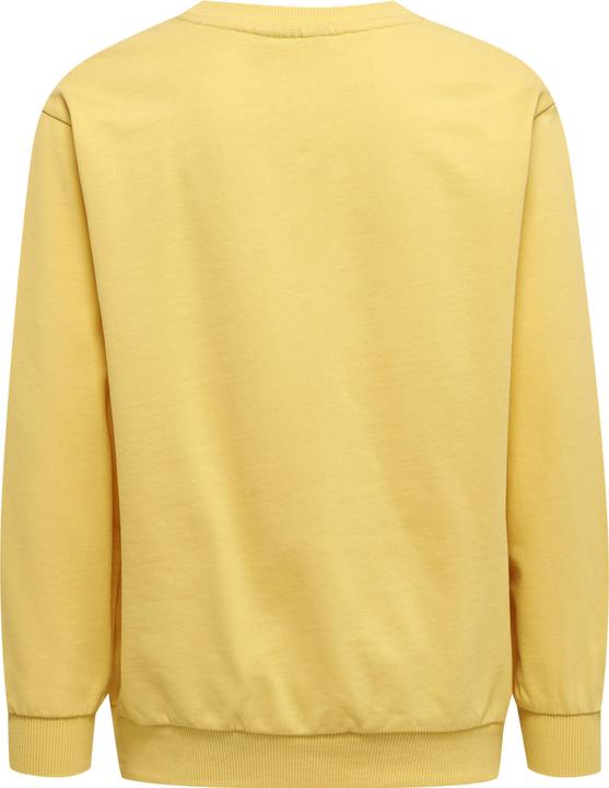 Image du produit hummel hmlCLOUD TRACKSUIT (146)
