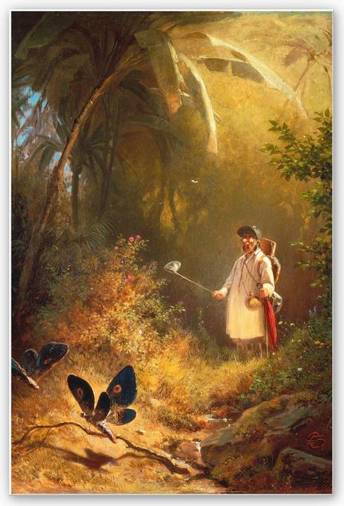 Image du produit Trenddeko Spitzweg - L'attrapeur de papillons (30 x 45 cm)