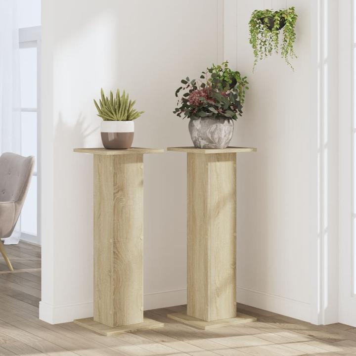 Image du produit VidaXL Supports pour plantes 2 pcs. 30 x 30 x 80 cm