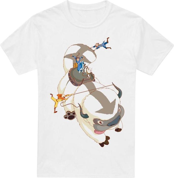 Image du produit Avatar: The Last Airbender - T-shirt HANG ON - Homme (L)