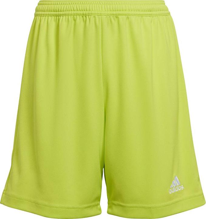Actual product image adidas Entrada 22 Shorts (128)