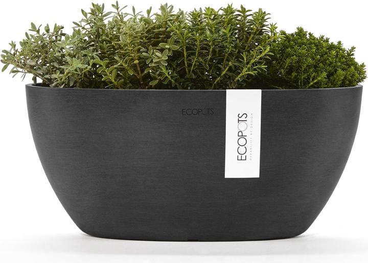 Actual product image Ecopots Sofia (13 cm)
