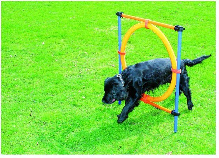 Pawise Agility Ring Ø55Cm - (636.9004) (One size, Agility)
