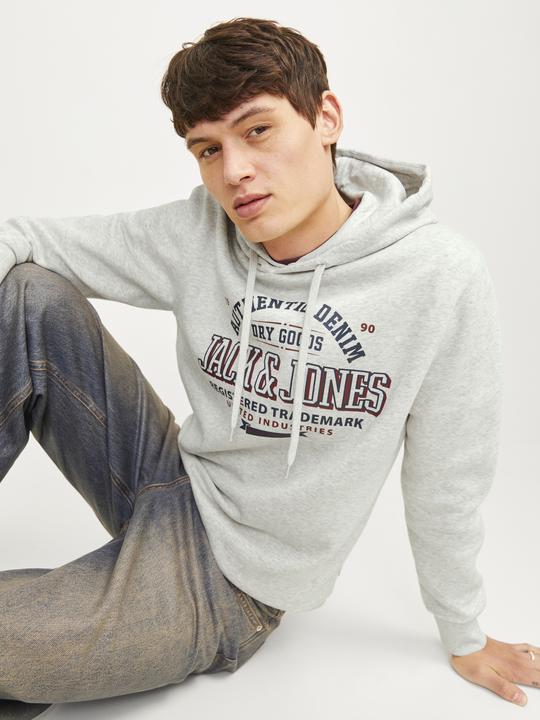 Actual product image Jack & Jones JJELOGO SWEAT HOOD 2 COL 24/25 NOOS (XL)