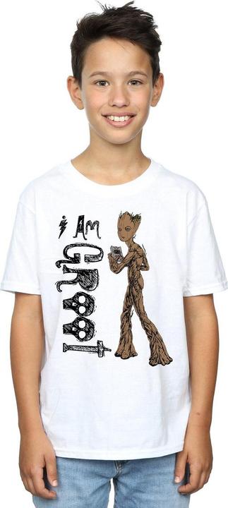 Actual product image Boys Avengers Infinity War I Am Teenage Groot T-Shirt (140, 146)