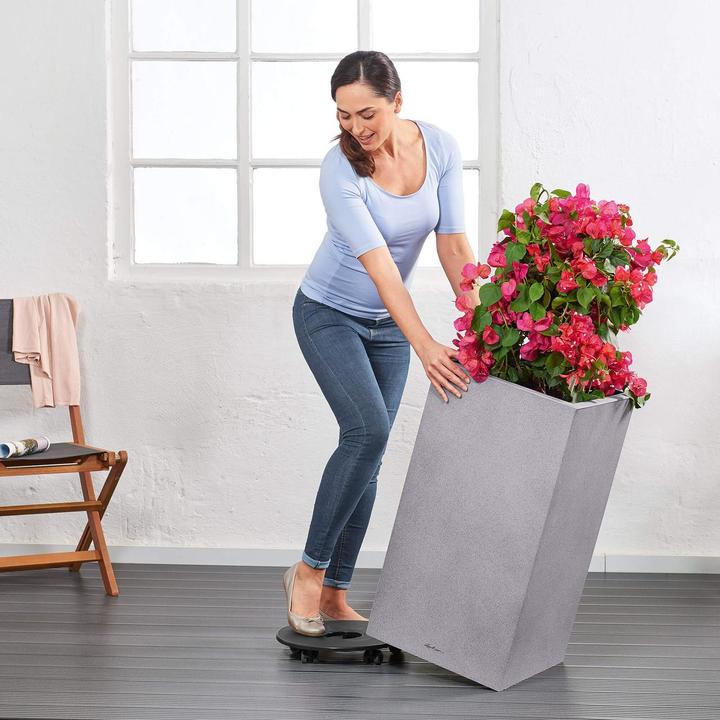 Immagine prodotto Lechuza Pietra di Canto (40 cm)