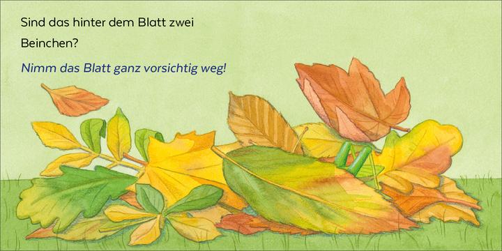 Immagine prodotto Brosche:Wer hat sich denn hier versteck (Tedesco, Spilla Heidemarie, Mele Brink, 2025)