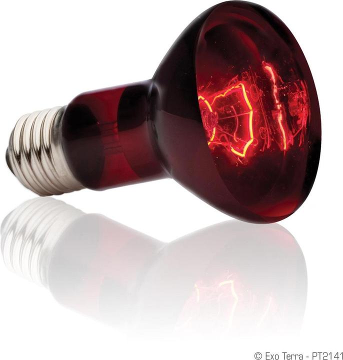 Produktbild Exo Terra Infrared Basking Spot