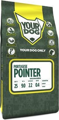 Yourdog Pointer portugais Volwassen (3050 g)