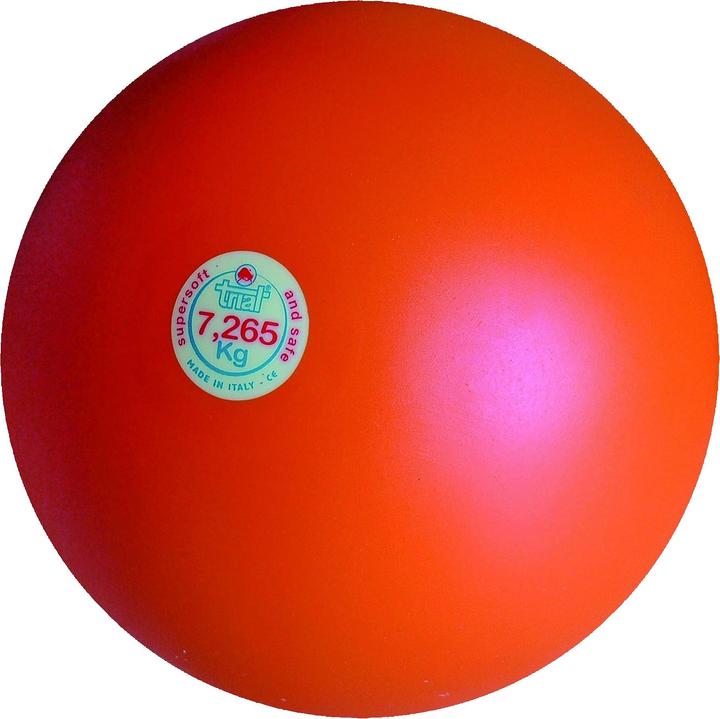 Trial Balle de choc (7265 g)