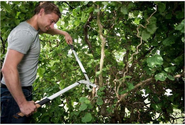 Produktbild Fiskars Astschere Amboss Quantum, 80 c