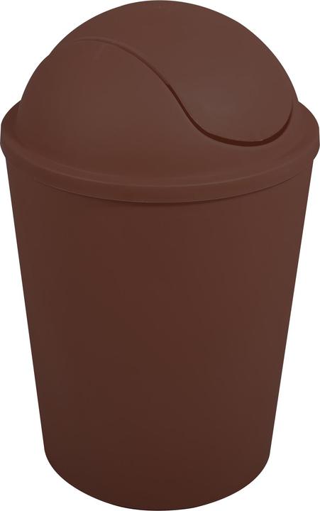 Braun