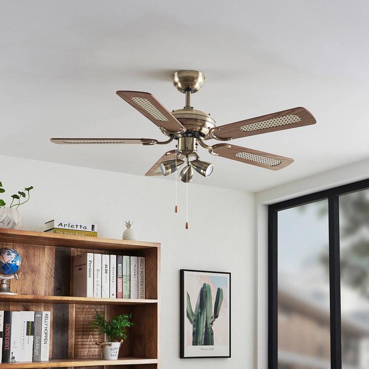 Actual product image Lucande Anariki (43.50 dB)