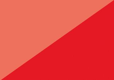 Actual product image Edding Permanent spray (Traffic red, 0.20 l)