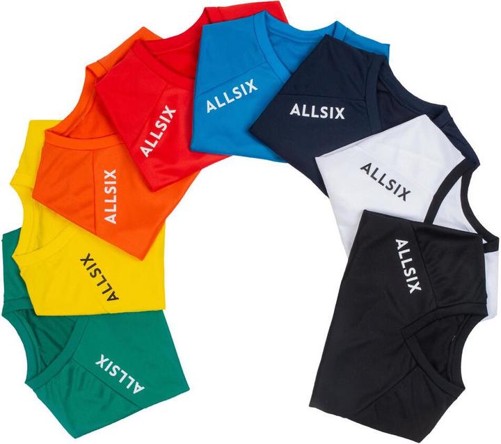 Produktbild Allsix vts100 309567 (122)