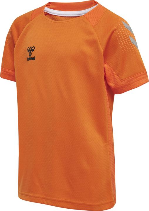 Tigre arancione