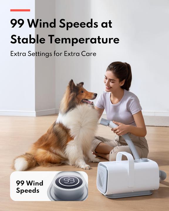 Actual product image HomeRunPet Pet hairdryer PD10 (Dog)