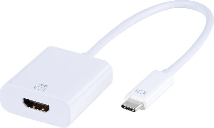 Vivanco CA UC HD 1 USB graphic adapter Pixel (USB-C, 15 cm)