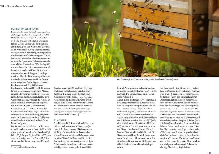 Actual product image Kosmos Bienenwachs und Wachskreislauf (German, Matthias Schlörholz, 2023)