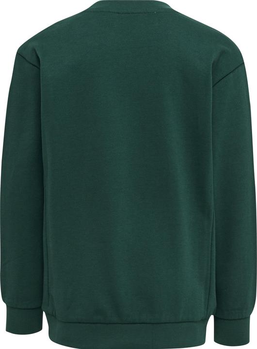Image du produit hummel Sweat-Shirt Ditmer (104)