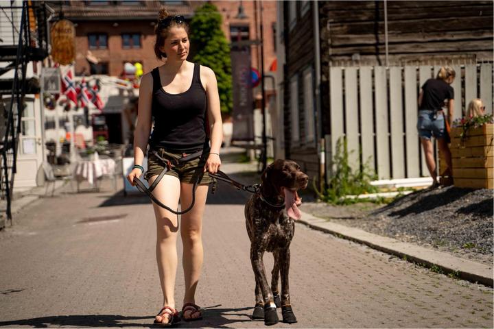Produktbild Non-Stop Dogwear Protector (M, Hundebademantel)