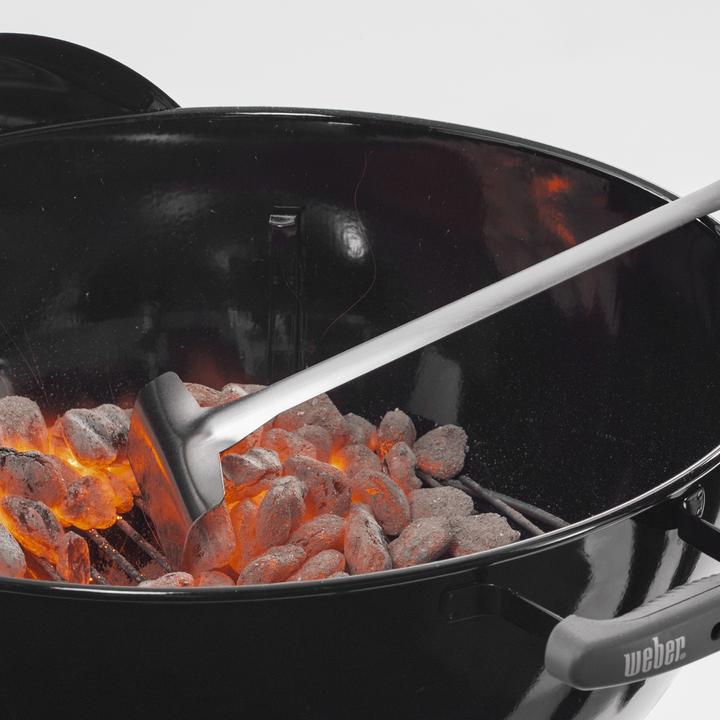 Immagine prodotto Weber Bricchette (8 kg)