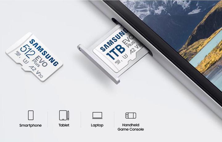 Image du produit Samsung EVO Plus (256 Go, microSDXC, U3, UHS-I)